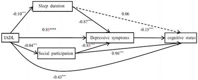 Instrumental activities of daily living function and cognitive status among Chinese older adults: a serial multiple mediation model